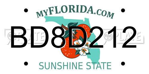 BD8D212 Florida License Plate