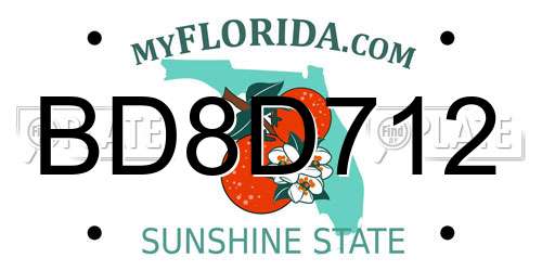 BD8D712 Florida License Plate