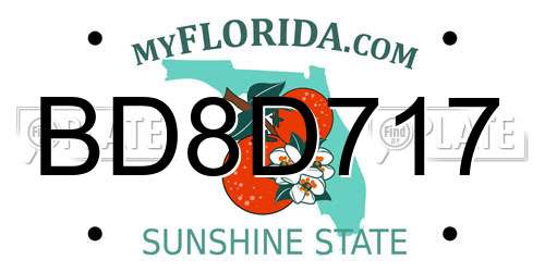 BD8D717 Florida License Plate