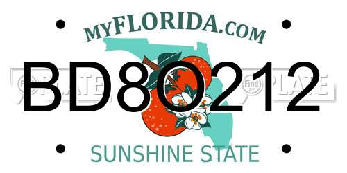 BD8O212 Florida License Plate