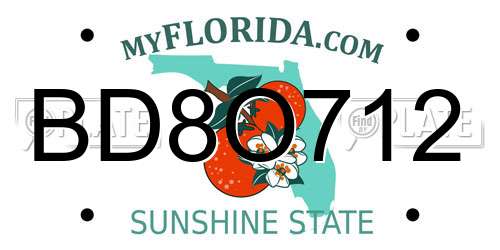 BD8O712 Florida License Plate