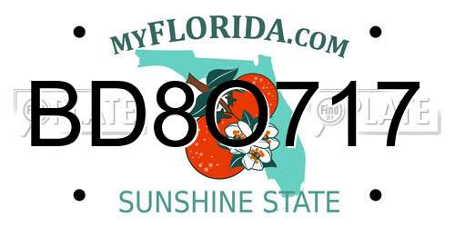 BD8O717 Florida License Plate