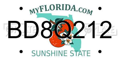 BD8Q212 Florida License Plate