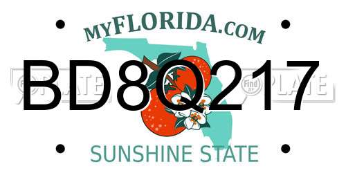 BD8Q217 Florida License Plate