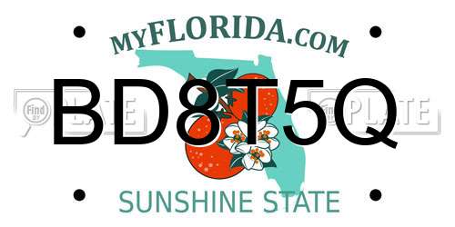 BD8T5Q Florida License Plate