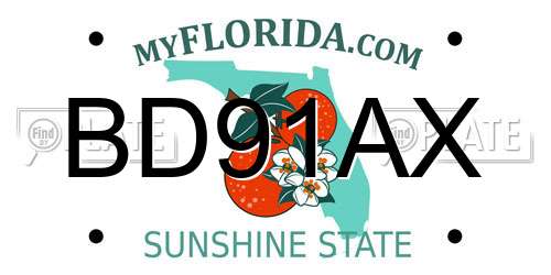 BD91AX Florida License Plate