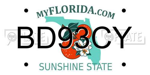 BD93CY Florida License Plate