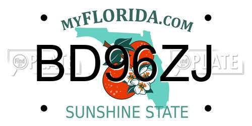 BD96ZJ Florida License Plate