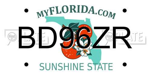 BD96ZR Florida License Plate