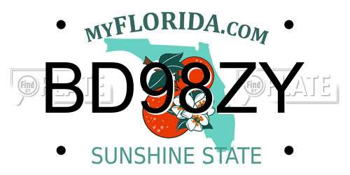 BD98ZY Florida License Plate