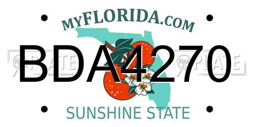BDA4270 Florida License Plate