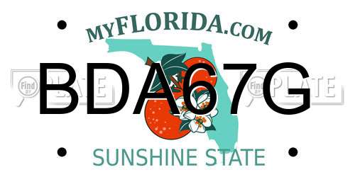 BDA67G Florida License Plate