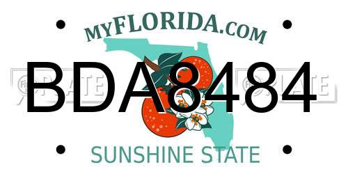 BDA8484 Florida License Plate