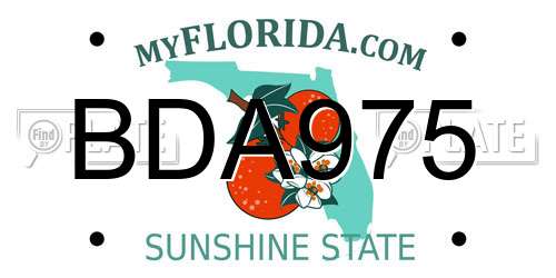 BDA975 Florida License Plate