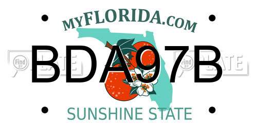 BDA97B Florida License Plate