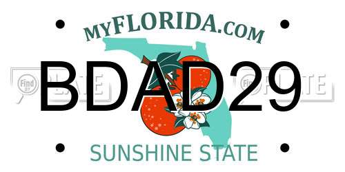 BDAD29 Florida License Plate