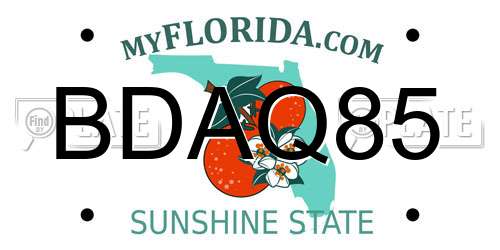 BDAQ85 Florida License Plate
