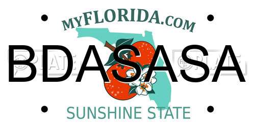 BDASASA Florida License Plate