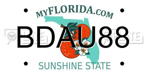 BDAU88 Florida License Plate