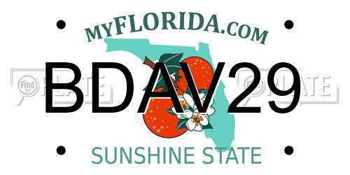 BDAV29 Florida License Plate