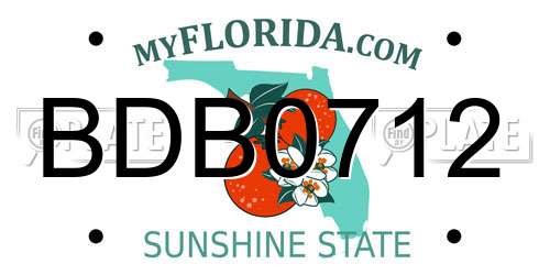 BDB0712 Florida License Plate