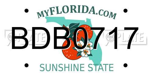BDB0717 Florida License Plate