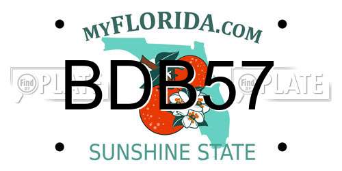 BDB57 Florida License Plate