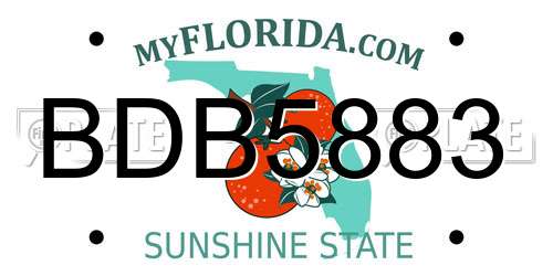 BDB5883 Florida License Plate
