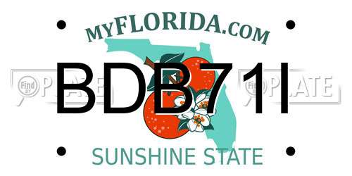 BDB71I Florida License Plate