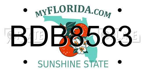 BDB8583 Florida License Plate