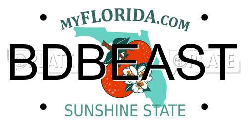 BDBEAST Florida License Plate