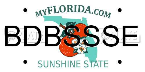 BDBSSSE Florida License Plate