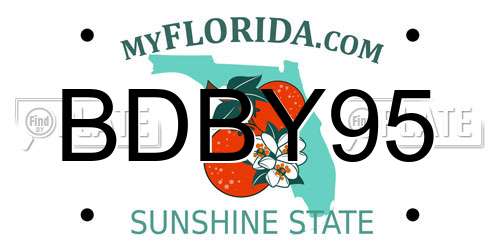 BDBY95 Florida License Plate