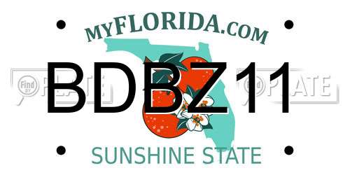 BDBZ11 Florida License Plate