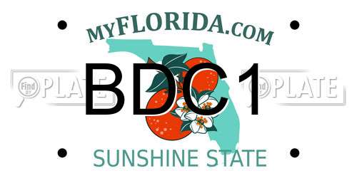 BDC1 Florida License Plate