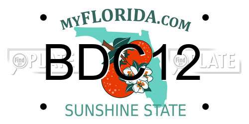 BDC12 Florida License Plate