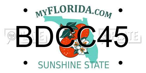 BDCC45 Florida License Plate