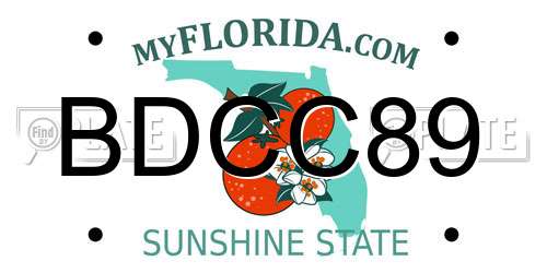 BDCC89 Florida License Plate