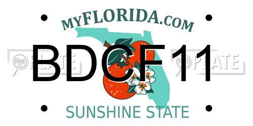 BDCF11 Florida License Plate