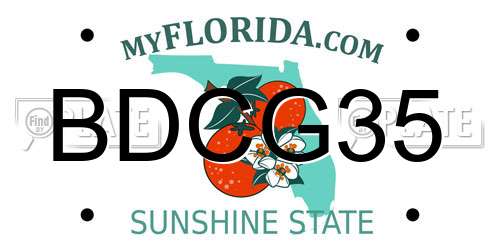 BDCG35 Florida License Plate