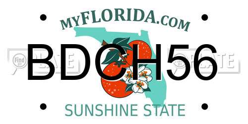 BDCH56 Florida License Plate