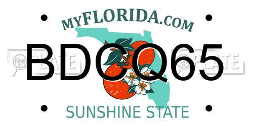 BDCQ65 Florida License Plate