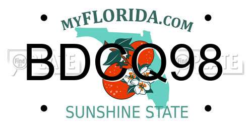BDCQ98 Florida License Plate