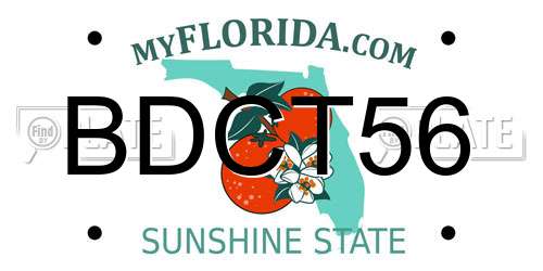 BDCT56 Florida License Plate
