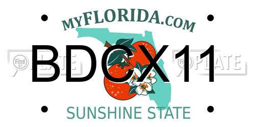 BDCX11 Florida License Plate