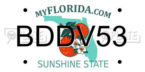 BDDV53 Florida License Plate
