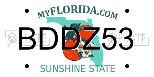 BDDZ53 Florida License Plate