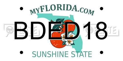 BDED18 Florida License Plate