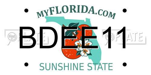 BDEE11 Florida License Plate