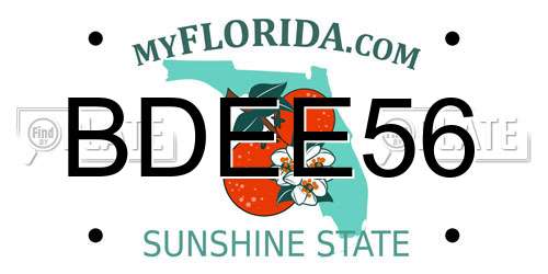 BDEE56 Florida License Plate